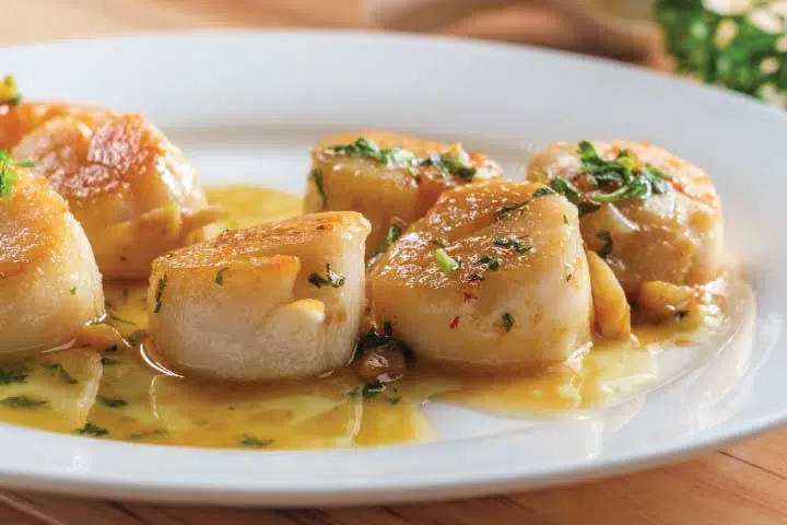 A plate of food on top of a table.